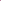 Set Violet - Rock und Top
